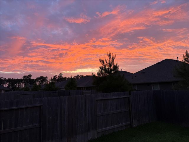 3057 Pampaneria Drive, Conroe, TX 77301