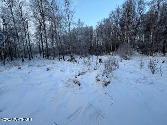 9901 S Laurie Lane, Wasilla, AK 99623