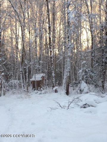 9901 S Laurie Lane, Wasilla, AK 99623