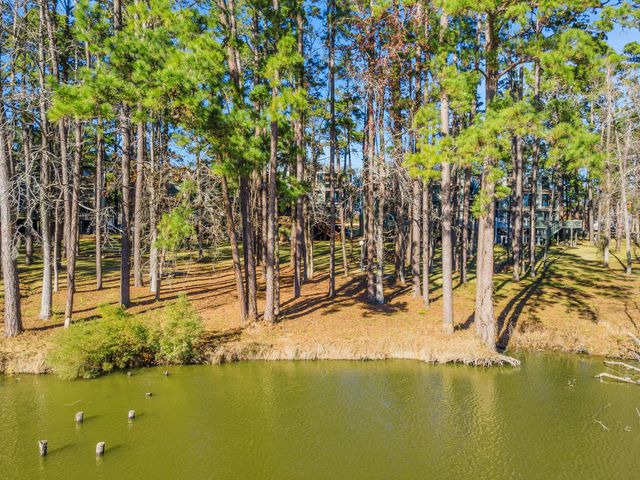 154 Villa Way, Coldspring, TX 77331