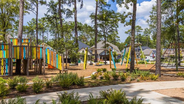 168 Gray Pine Grove Way, Conroe, TX 77318