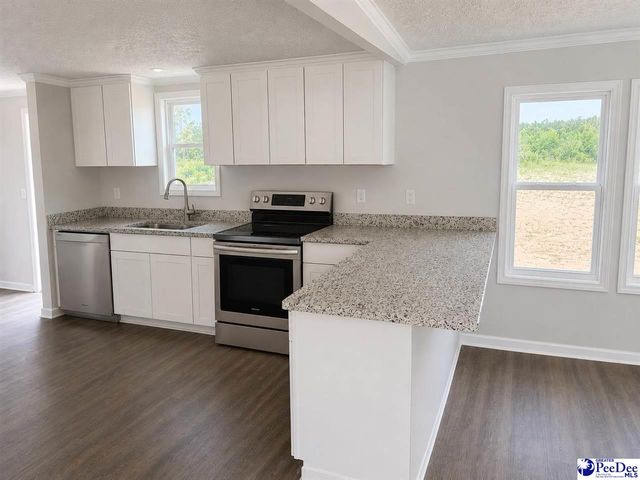4059 Twin Church Rd, Timmonsville, SC 29541