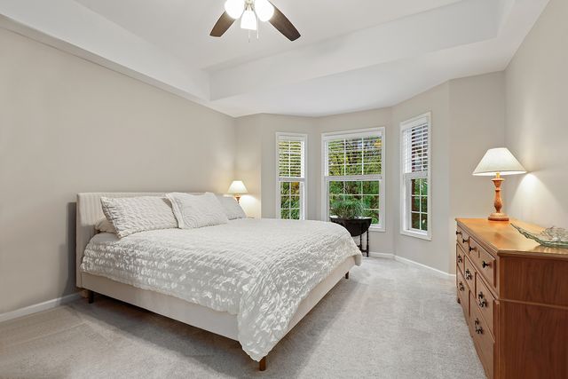 838 Shandrew Drive, Naperville, IL 60540
