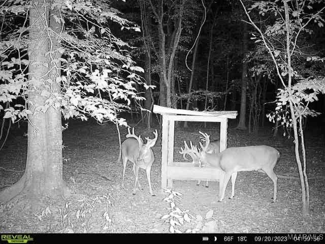 1336 Redbud Road, Titus, AL 36080