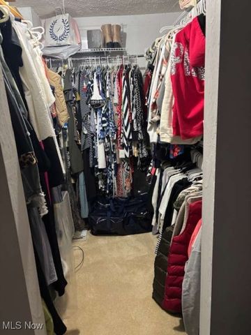 7400 N Chestnut Commons, Mentor, OH 44060