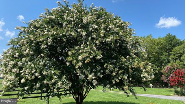 11758 PURCELL RD, Lovettsville, VA 20180