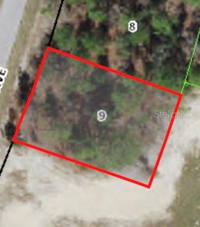 9805 N EMELLIA AVENUE, Citrus Springs, FL 34433