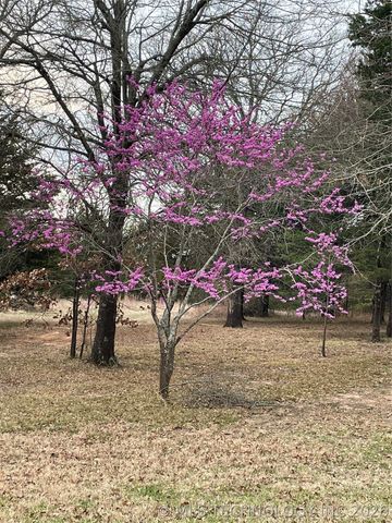 1183 Romia, Achille, OK 74726