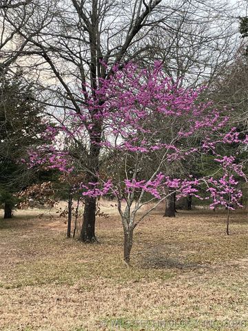 1183 Romia, Achille, OK 74726