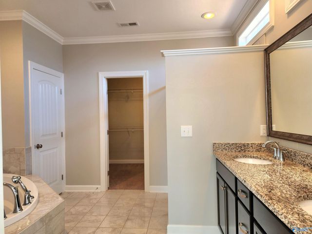 156 Sougahatchee Drive, New Market, AL 35761