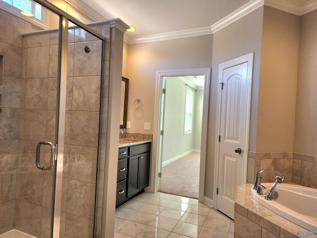 156 Sougahatchee Drive, New Market, AL 35761