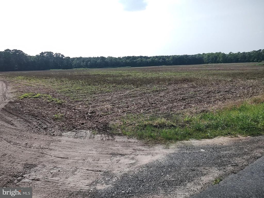 0 ROUNDS RD, Pittsville, MD 21850