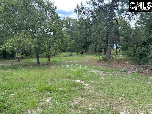 1916 Capitol View Road, Gaston, SC 29053