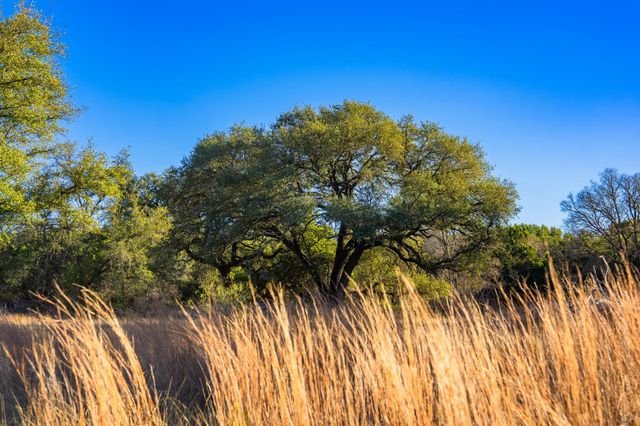 TBD FM 1047, Lometa, TX 76853