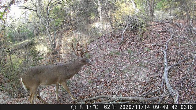 TBD FM 1047, Lometa, TX 76853