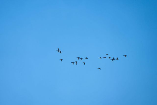 TBD FM 1047, Lometa, TX 76853