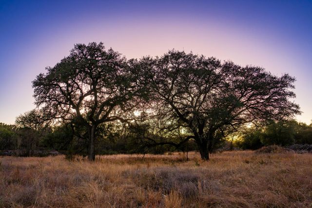 TBD FM 1047, Lometa, TX 76853