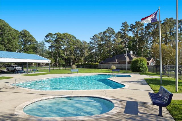 12935 Andromeda Court, Willis, TX 77318