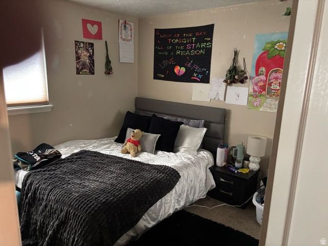 3597 S PATRIOT DR, Magna, UT 84044