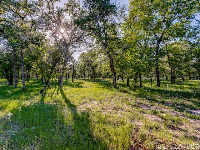 2390 Vivroux Ranch Rd, Seguin, TX 78155