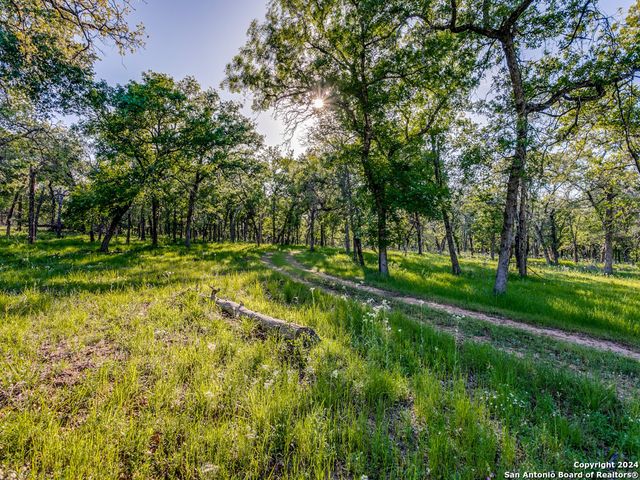 2390 Vivroux Ranch Rd, Seguin, TX 78155