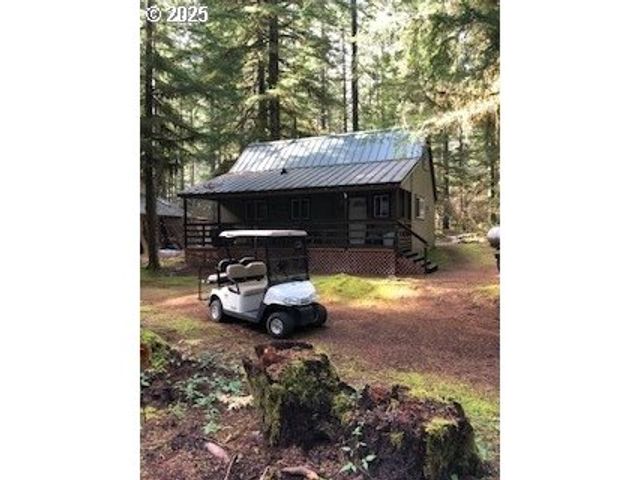 Cabin 157 Northwoods, Cougar, WA 98616