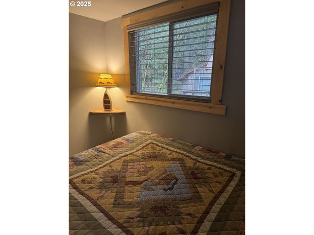 Cabin 157 Northwoods, Cougar, WA 98616