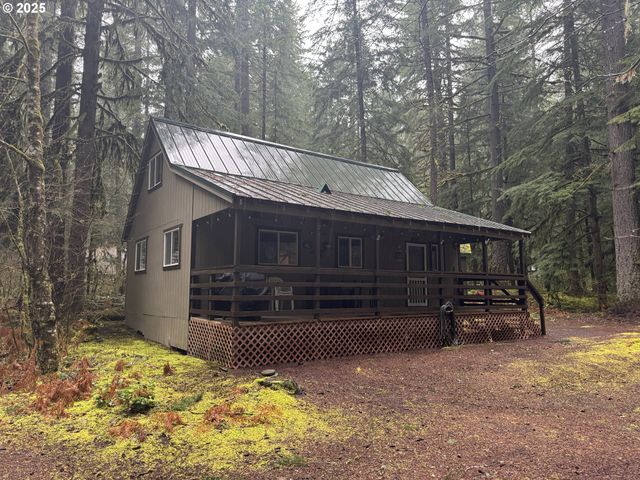 Cabin 157 Northwoods, Cougar, WA 98616