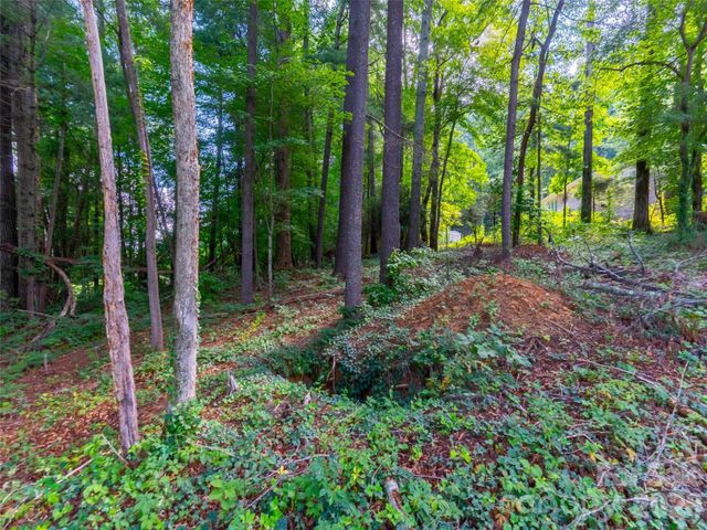00 Marley Drive 5, Flat Rock, NC 28731