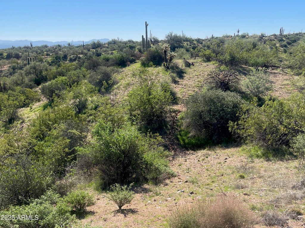 356XX N 142nd Place -, Scottsdale, AZ 85262 — photo 5