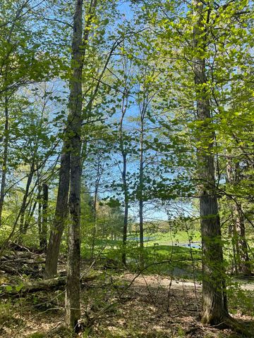 530 Finbars Forest Road, Manchester, VT 05255