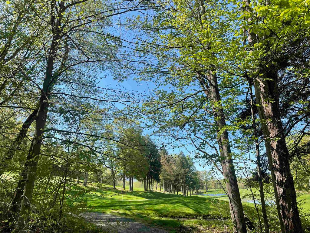 530 Finbars Forest Road, Manchester, VT 05255