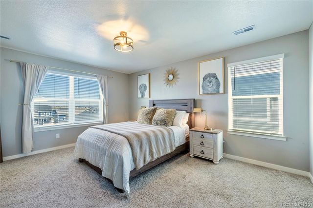 17341 Red Cosmos Point, Parker, CO 80134