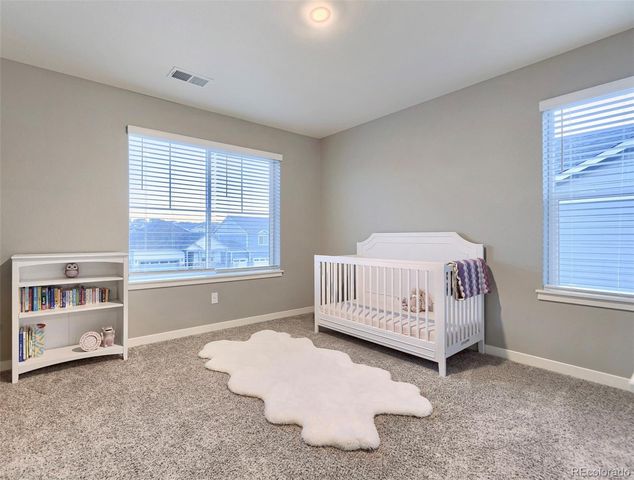 17341 Red Cosmos Point, Parker, CO 80134