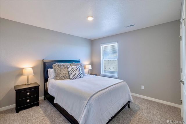 17341 Red Cosmos Point, Parker, CO 80134