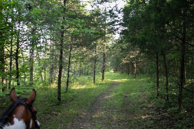 2825 Oregon Road, Milton, TN 37118