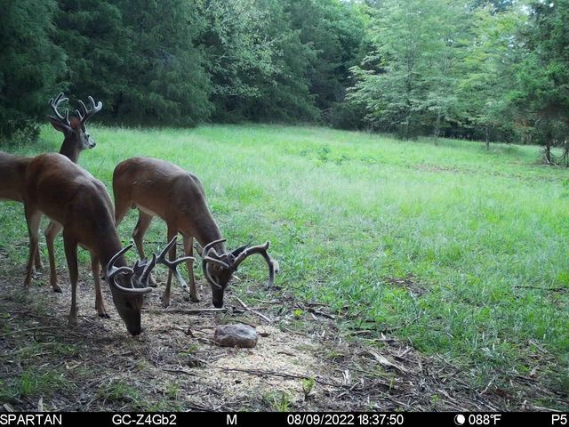 2825 Oregon Road, Milton, TN 37118