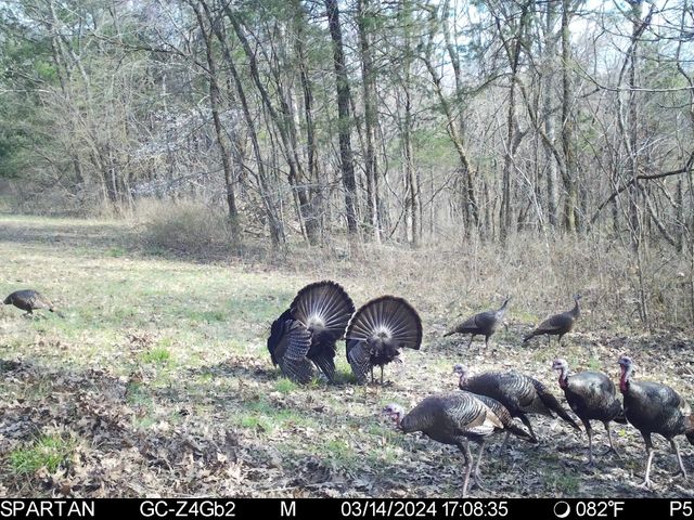 2825 Oregon Road, Milton, TN 37118