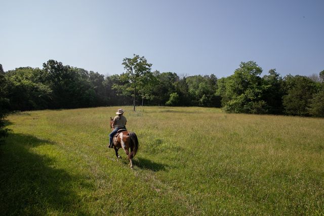 2825 Oregon Road, Milton, TN 37118