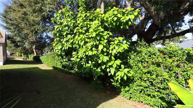 2473 BUTTONWOOD RUN, The Villages, FL 32162