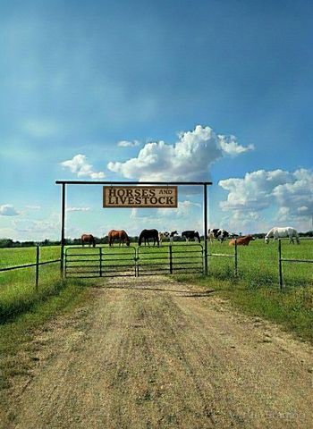 2838 County Road 201, Cameron, TX 76520