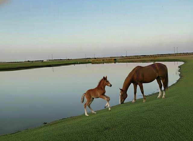 2838 County Road 201, Cameron, TX 76520