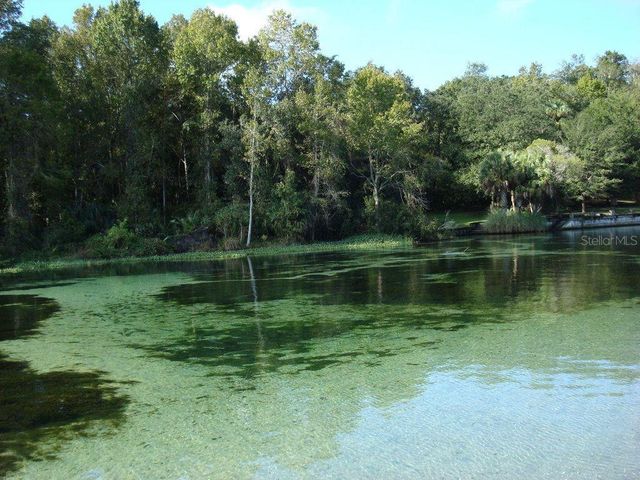TBD 155TH LANE, Fort Mc Coy, FL 32134
