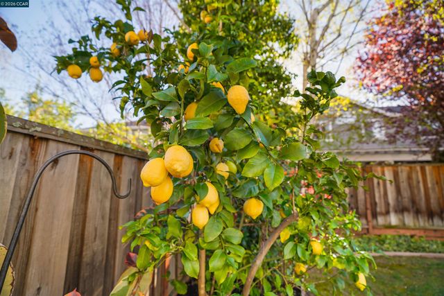 34 Elmwood Dr, San Ramon, CA 94583