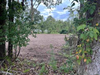 8402 Pertuis Rd, St Amant, LA 70774