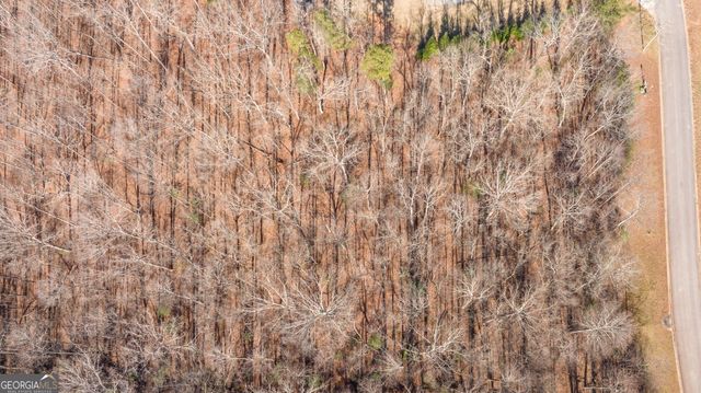 0 Woodmont Drive LOT 3, Cornelia, GA 30531