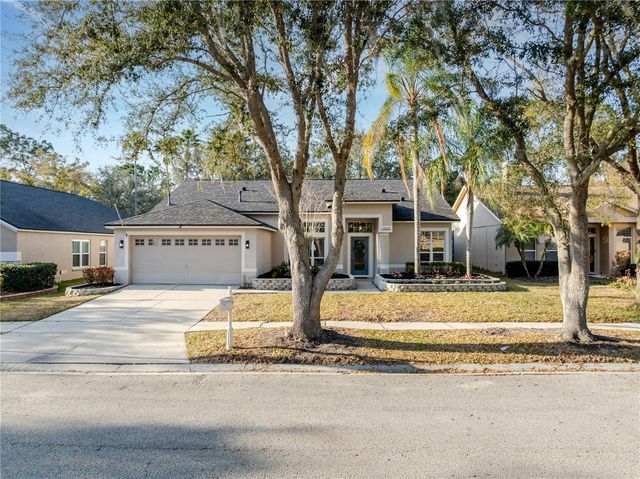 10208 THICKET POINT WAY, Tampa, FL 33647