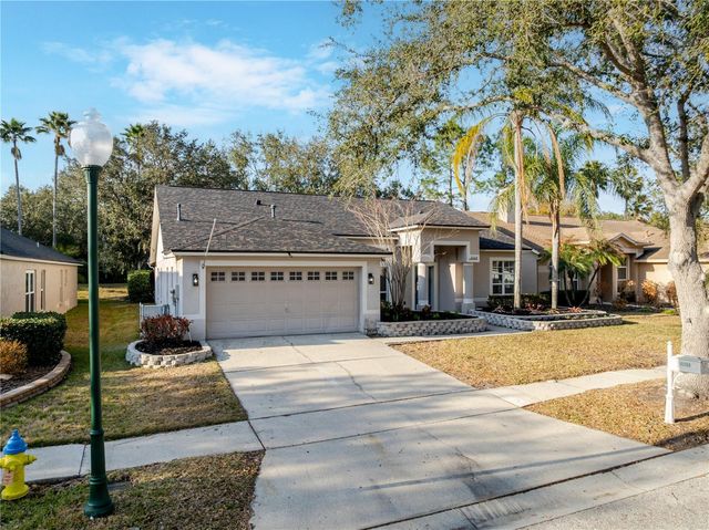 10208 THICKET POINT WAY, Tampa, FL 33647