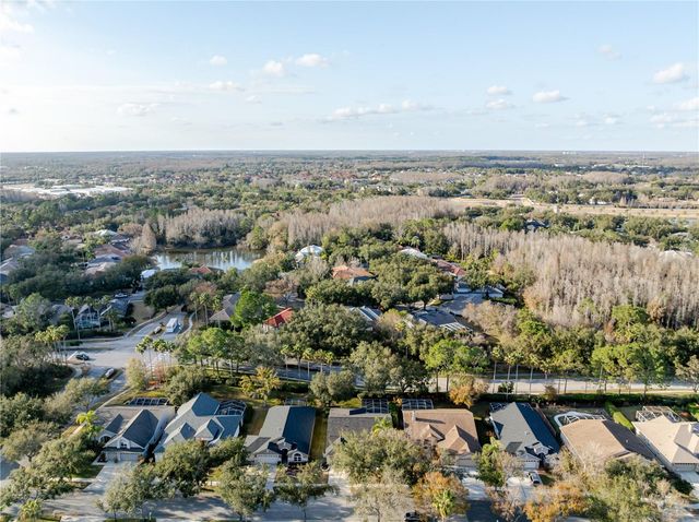 10208 THICKET POINT WAY, Tampa, FL 33647