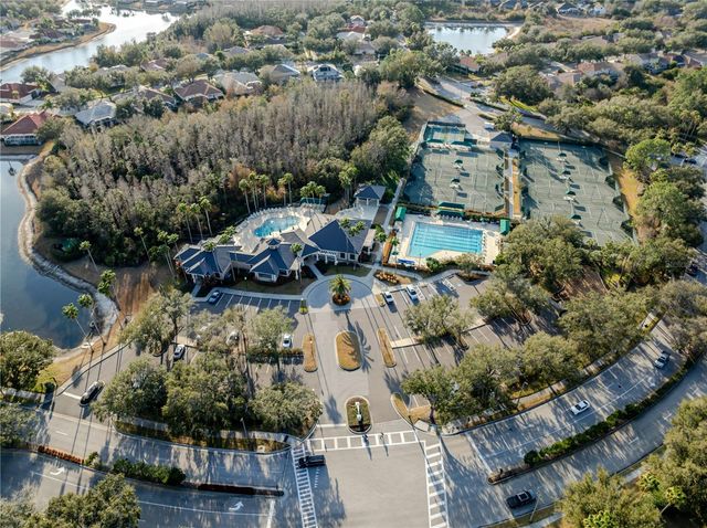 10208 THICKET POINT WAY, Tampa, FL 33647